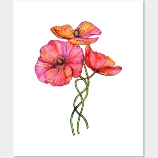 Peach & Pink Poppy Tangle Posters and Art